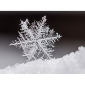 Temporada Invierno (23)